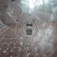 Transparent Inflatable SportGW122