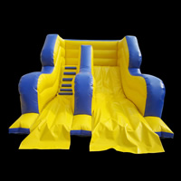 Commercial Inflatable SlideGI148