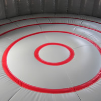 commercial inflatable bouncersGB497