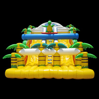 Commercial Inflatable SlideGI142
