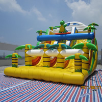 Commercial Inflatable SlideGI142