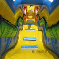 Commercial Inflatable SlideGI142