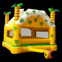 Theme Inflatable Bouncer GB162