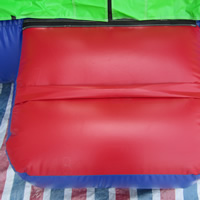 Indoor Inflatable BouncersGB489