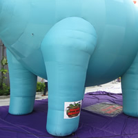 Giant Inflatable ToyGC119