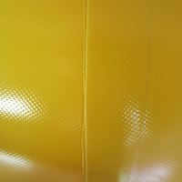 Yellow swim ringGW134