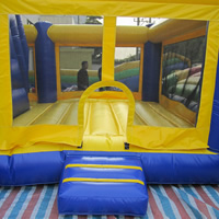 Inflatable Bouncer ManufacturersGB499