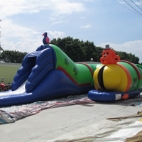 Inflatable insect insect tunnelGU014