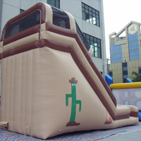 Double Inflatable Giant SlideGI154