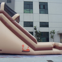 Double Inflatable Giant SlideGI154