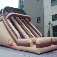 Double Inflatable Giant SlideGI154