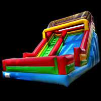 Backyard inflatable slideGI105