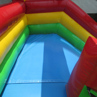 Backyard inflatable slideGI105