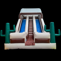 inflatable Cactus slideGI102