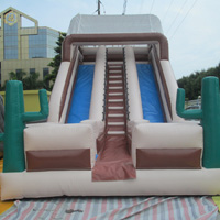 inflatable Cactus slideGI102