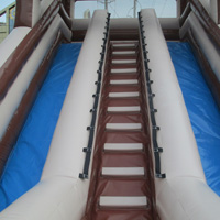 inflatable Cactus slideGI102