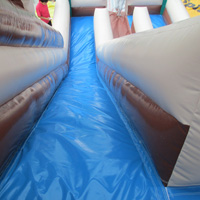 inflatable Cactus slideGI102