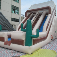 inflatable Cactus slideGI102