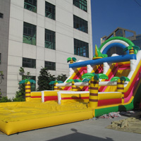 large inflatable slideGI160