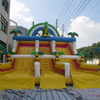 large inflatable slideGI160
