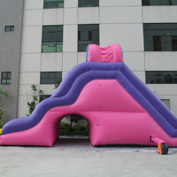 inflatable water slideGI157