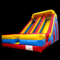 Inflatable Giant SlideGI156