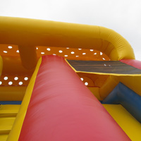 Inflatable Giant SlideGI156