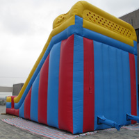 Inflatable Giant SlideGI156