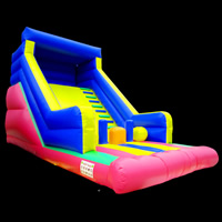 Commercial Inflatable Water SlidesGI151