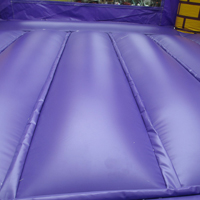 inflatable bouncy castlesGL172