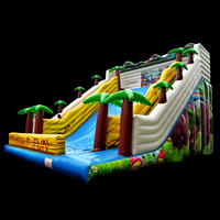 inflatable slideGI163