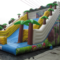 inflatable slideGI163