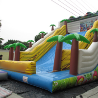 inflatable slideGI163