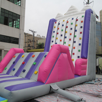 Inflatable Pink Climbing WallGH096