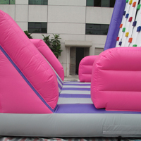 Inflatable Pink Climbing WallGH096