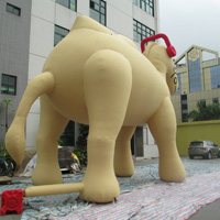 Inflatable camelsGC134