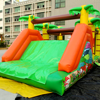 inflatable tiger Obstacle slidesGE143