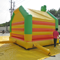 inflatable lizard bouncerGB538