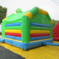 inflatable lizard bounceGB539