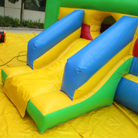 inflatable lizard bounceGB539
