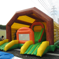 Inflatable Bouncer SlidesGB257