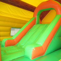 Inflatable Bouncer SlidesGB257