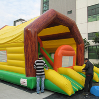 Inflatable Bouncer SlidesGB257