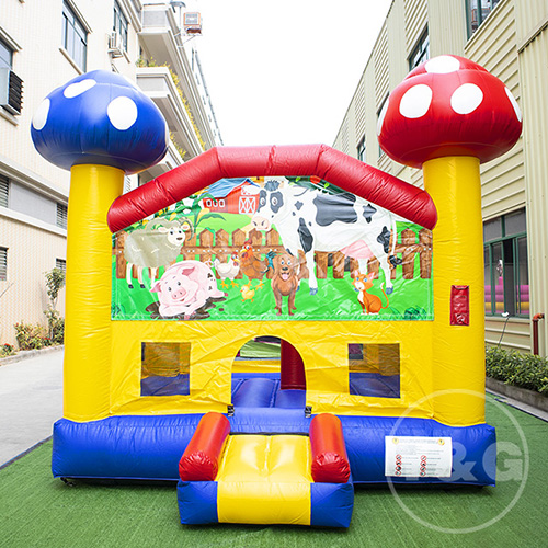 Inflatable Bouncy Castle Bouncy CastlesYGB01-2