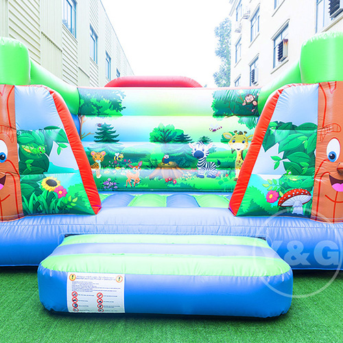 Kids Jumping Castle Inflatable KidsYGB07