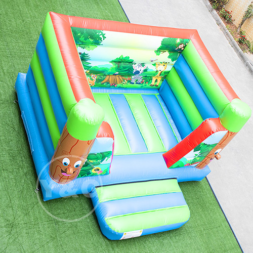 Kids Jumping Castle Inflatable KidsYGB07