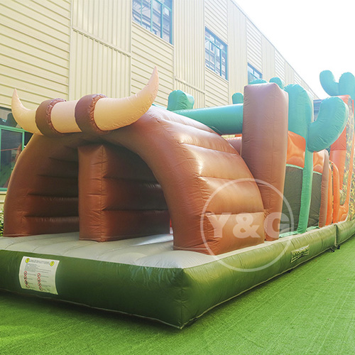 Attractive Dragon Slide InflatableYGO40