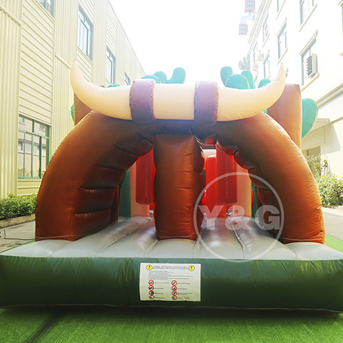 Attractive Dragon Slide InflatableYGO40