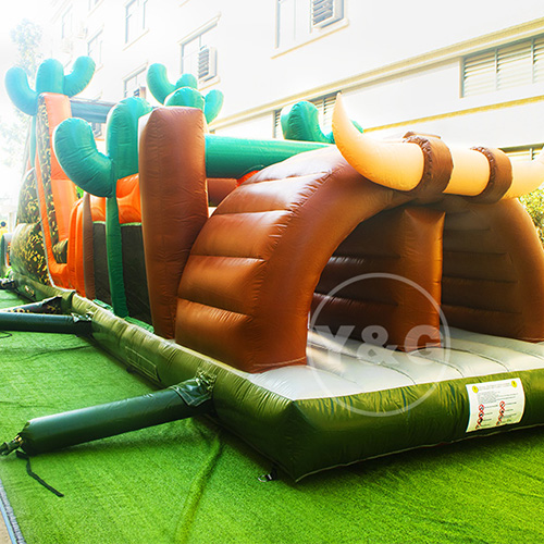 Attractive Dragon Slide InflatableYGO40