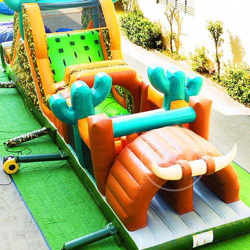 Attractive Dragon Slide InflatableYGO40